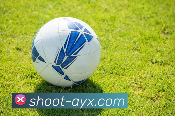 爱游戏发展历程