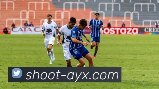 湖人对阵森林狼比赛收视率创新高引发球迷热议与关注